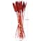 Dried Plant Bunny Tail Natural Foliage with Long Stems